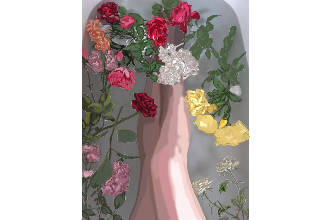 La primera destilación, el agua de rosas La primera destilación, el agua de rosas