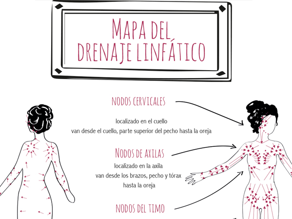 El drenaje linfático manual activador de nuestras defensas