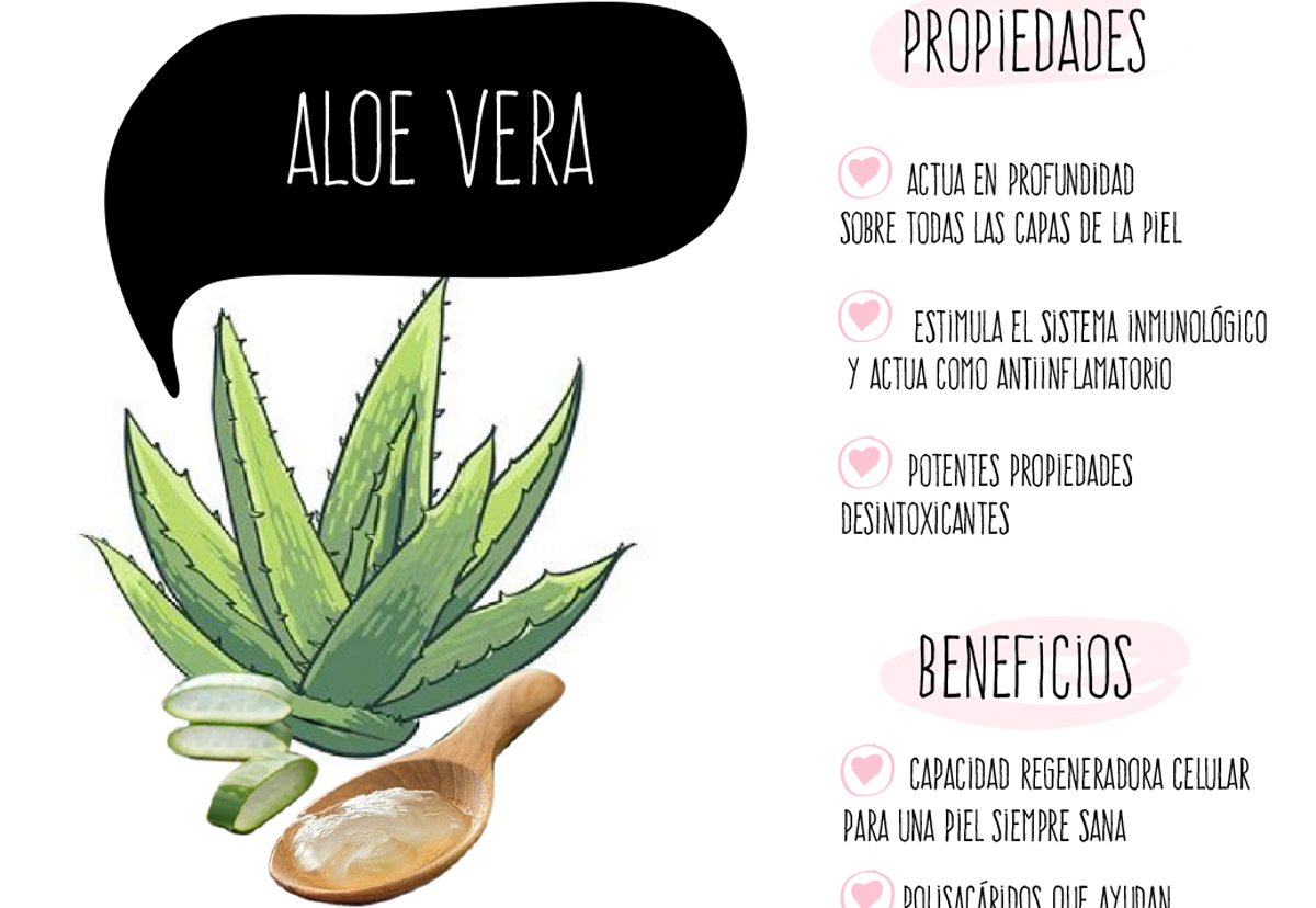 Beneficios del aloe vera