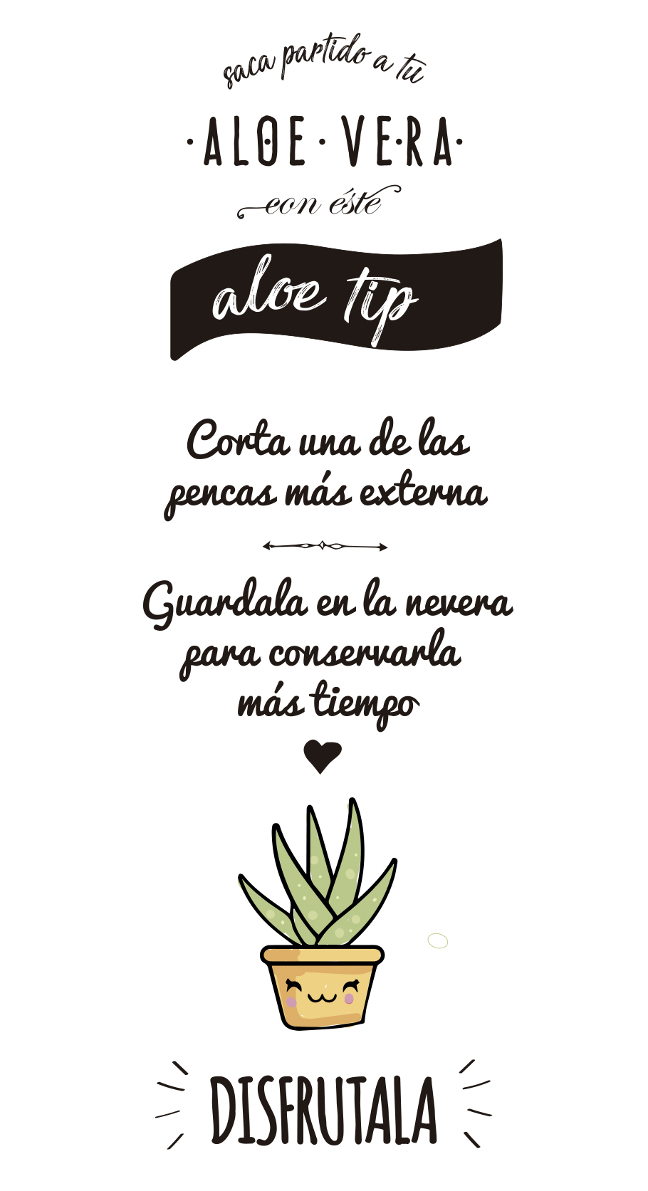 Consejo de cómo utilizar la planta aloe vera Consejo de cómo utilizarla planta aloe vera