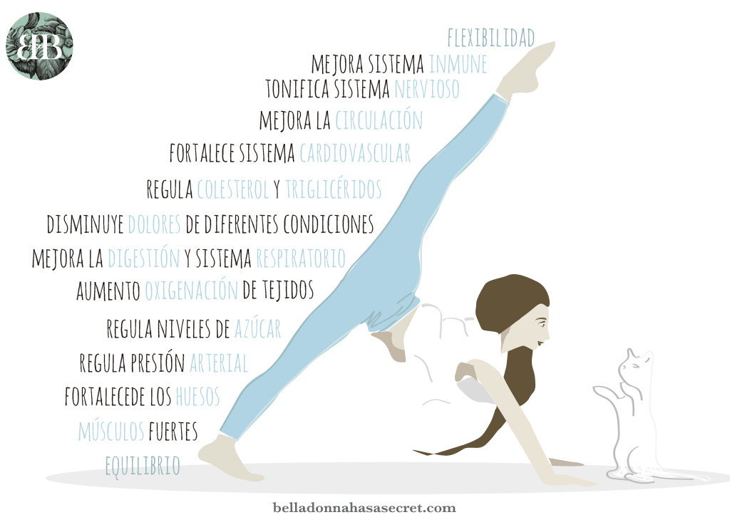 Beneficios físicos que aporta el del yoga Beneficios físicos que aporta la práctica del yoga