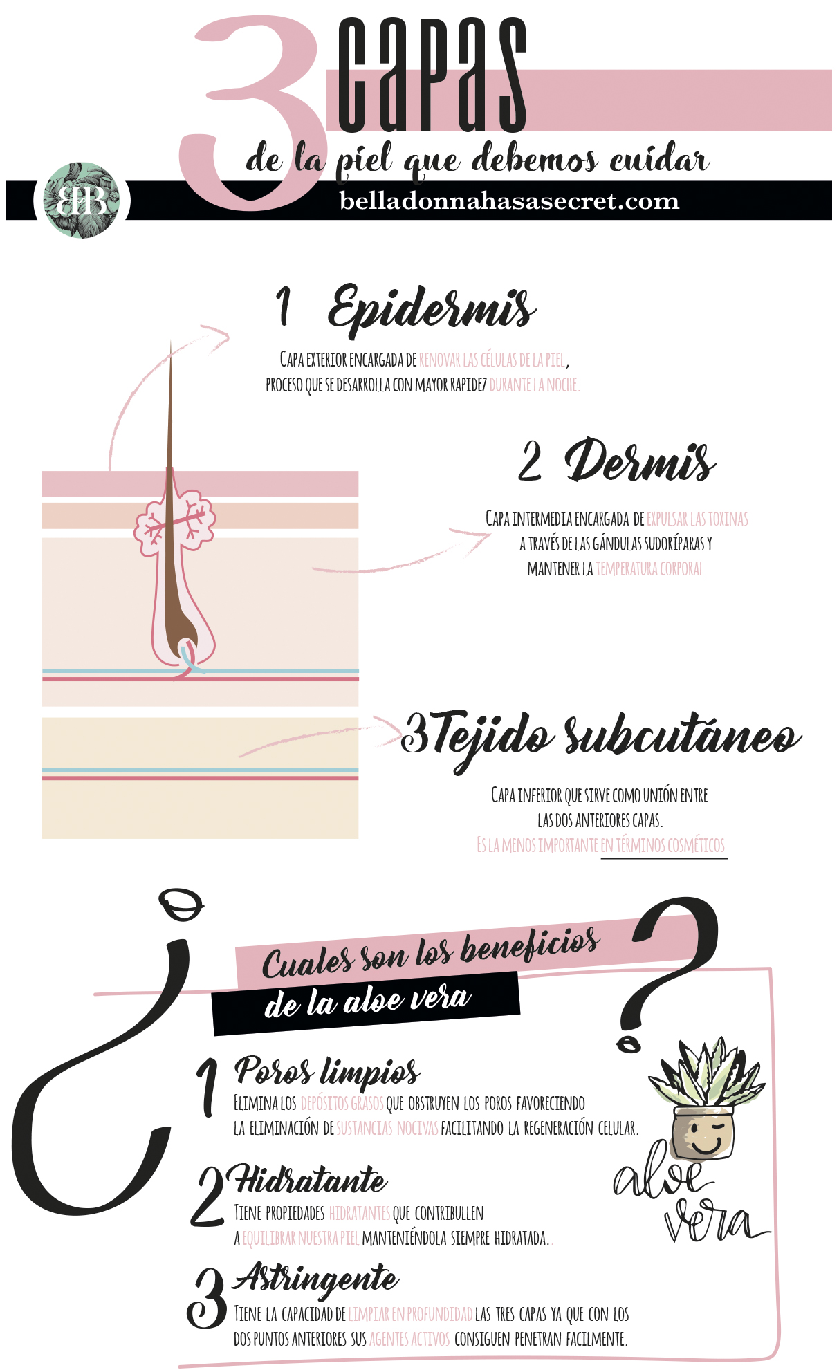 Las diferentes capas que componen la piel, epidermis, dermis y el tejido subcutáneo Las diferentes capas que componen la piel, epidermis, dermis y el tejido subcutáneo