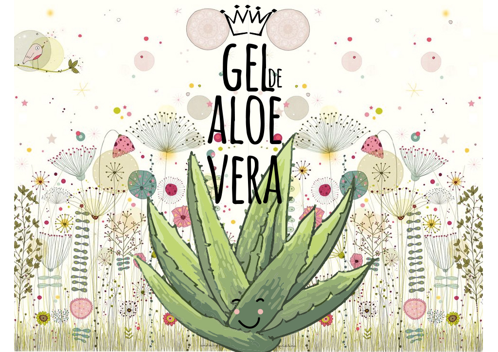 Propiedades del gel de aloe vera Gel de aloe vera