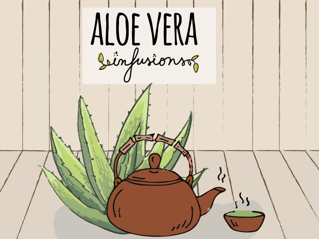Propiedades del infusión de aloe vera Infusión de aloe vera