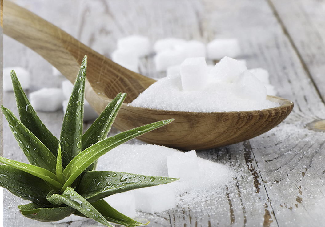 Ingredientes para hacer caramelos de aloe vera Ingredientes para la receta de caramelos de aloe vera