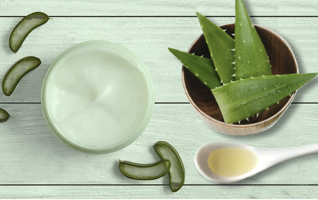 Tratamiento natural de aloe vera para tratar los edemas por acumulación de líquido Aloe vera para los edemas por acumulación de líquido