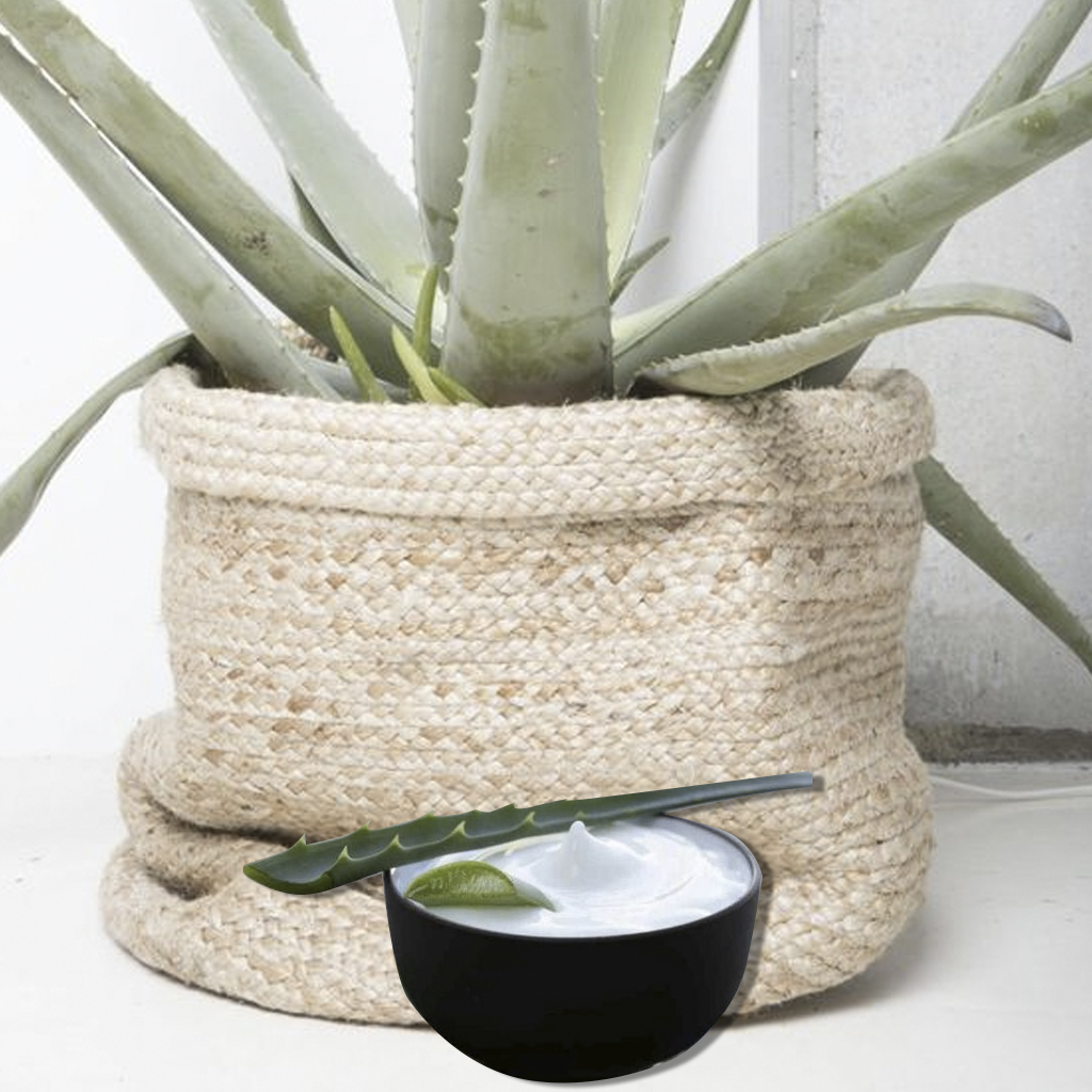 Bálsamo de aloe vera para irritaciones y erupiones de la piel Bálsamo de aloe vera para tratar las irritaciones y erupiones de la piel