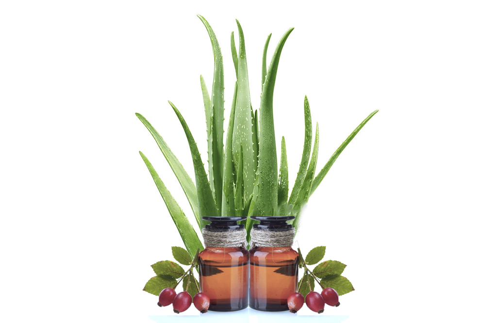 Cómo combatir el insomnio y excesos (tabaco, bebidas, café y otros excitantes) con aloe vera Combatir el insomnio y excesos (tabaco, bebidas, café y otros excitantes) con aloe vera