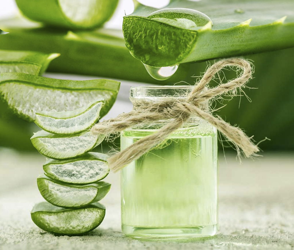 Receta de tintura básica de aloe vera Receta de tintura básica de aloe vera