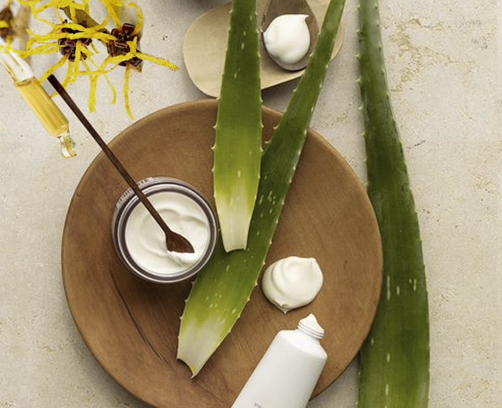 Ingredientes para la receta de ungüento o pomada de aloe vera Ingredientes para la receta de ungüento o pomada de aloe vera