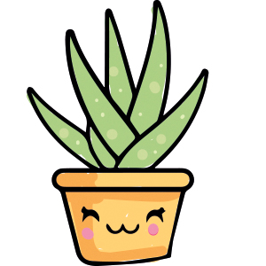 Dato curioso del aloe vera
